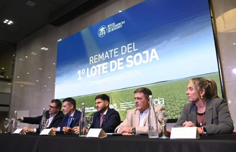 Captura de pantalla 2026-04-25 142727