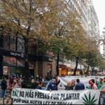 Captura de pantalla 2026-05-02 082754