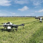drone-campo