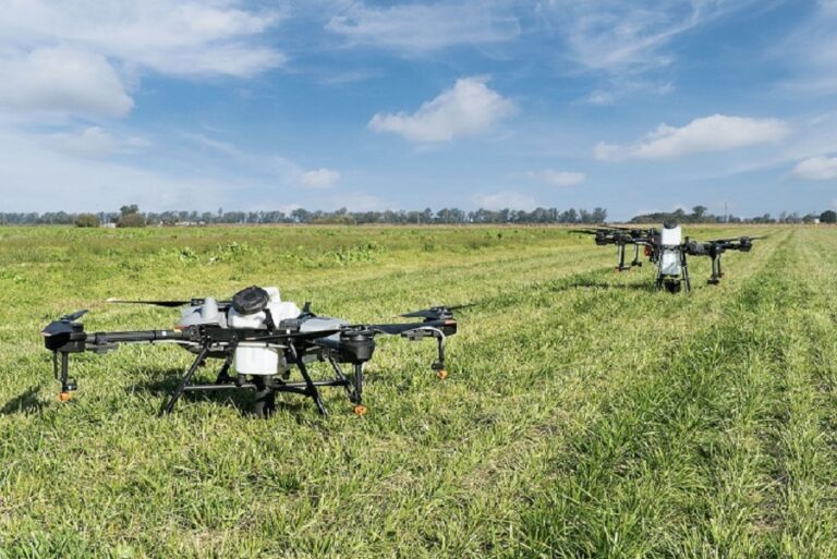drone-campo