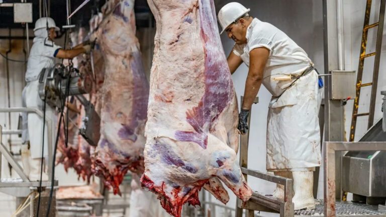 carne-faenada-2jpg