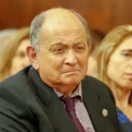 chiche-gelblung