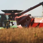 cosecha-soja-campo-produccion-agricola-santa-fe