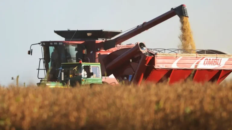 cosecha-soja-campo-produccion-agricola-santa-fe